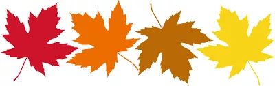 leaves.png Red, ORange, Brown and Yellow leaves on white background